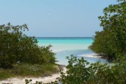 Куба горящие туры